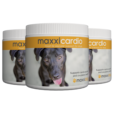 Bottles of maxxicardio cardiovascular and heart support for dogs Bottles of maxxicardio cardiovascular and heart support for dogs