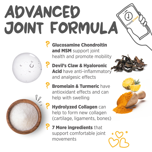 maxxiflex+ One of them most Advanced joint supplement for dogs maxxiflex+ advance hip and joint supplement for dogs
