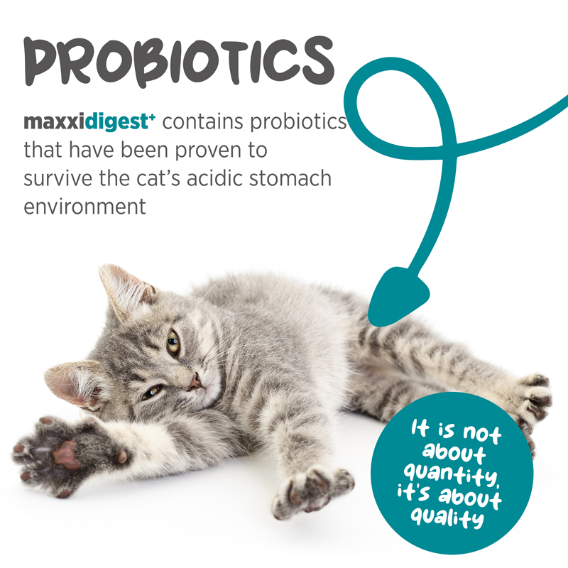 maxxidigest digestive support for all cats