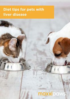 Diet Tips for Pets with Liver Disease free brochure from maxxicat