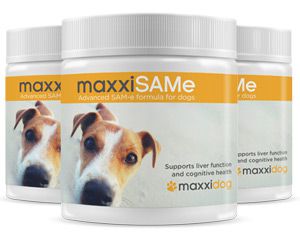 maxxiSAMe advanced SAM-e formula for dogs