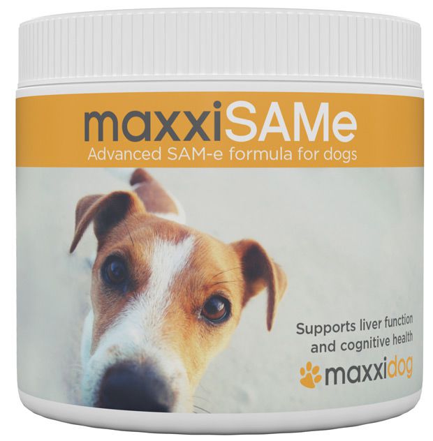 The benefits of maxxiSAMe SAM-e supplement for dogs 