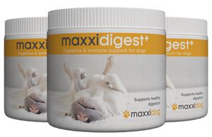 Bottles of maxxidigest+ digestive and immune support for dogs