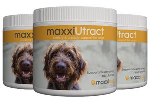 Bottles of maxxiUtract urinary and bladder support for dogs from maxxipaws