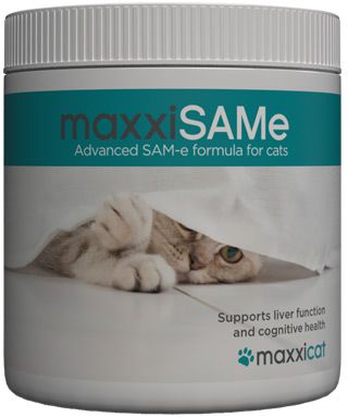 The benefits of maxxiSAMe SAM-e supplement for cats