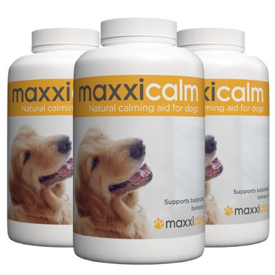 maxxicalm non drowsy calming aid for dogs