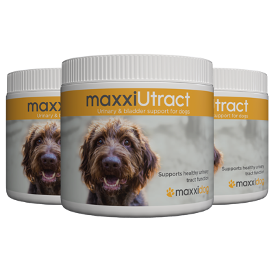 maxxiUtract urinary and bladder support for dogs from maxxipaws