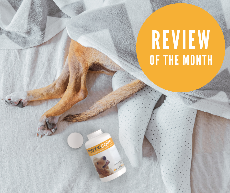 Odoo • Image and Text