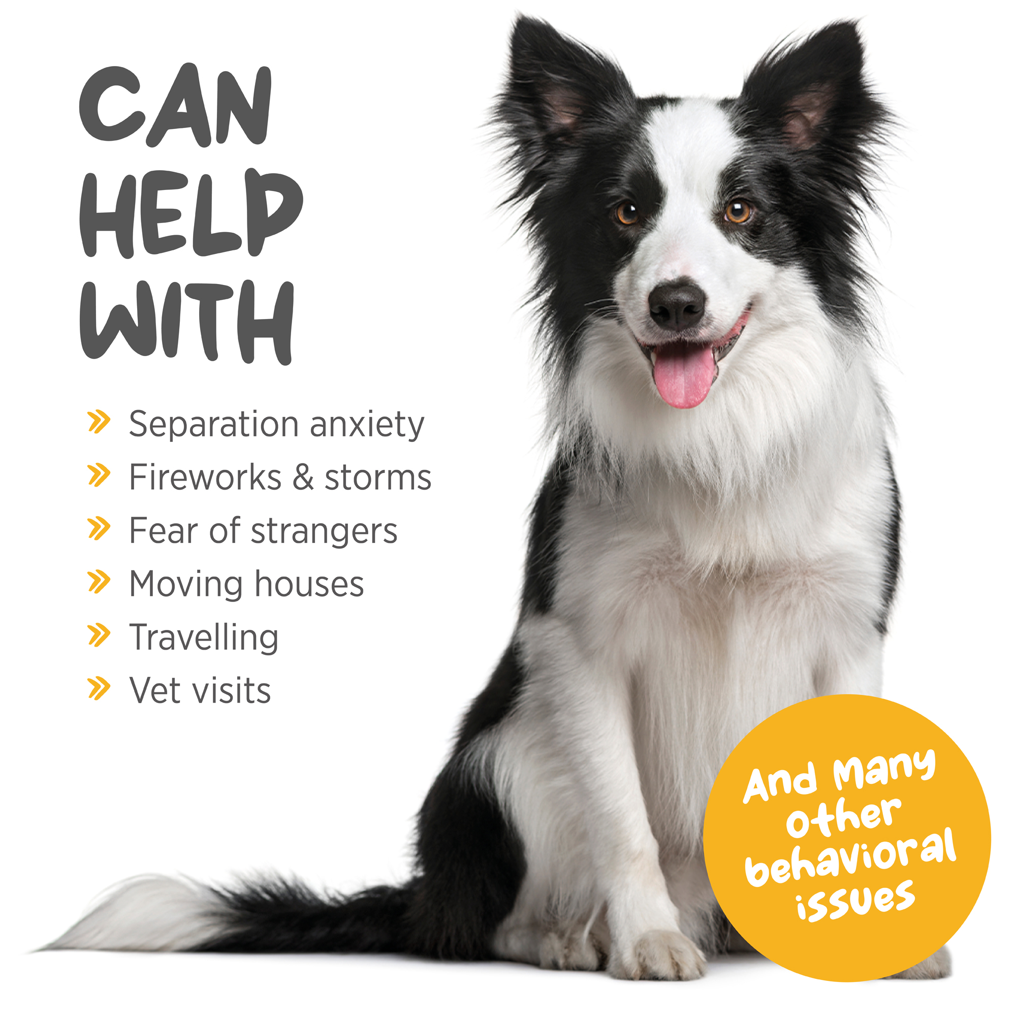 maxxicalm safe permanent calming aid for dogs